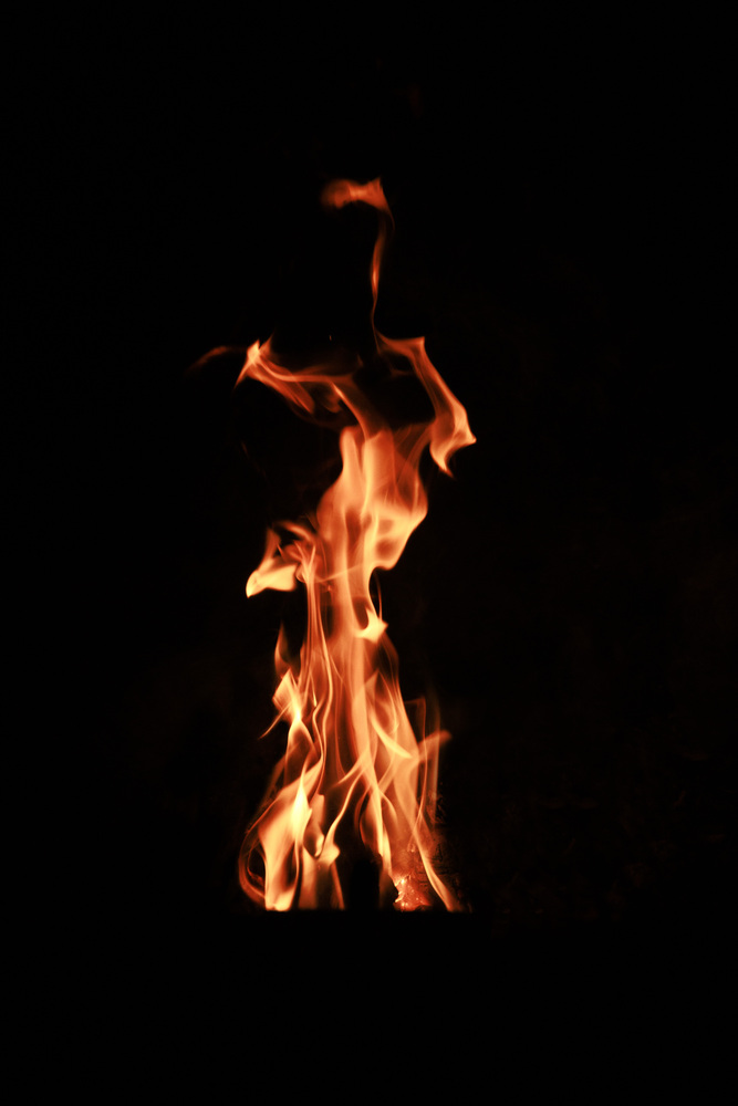 What do you see ? 37