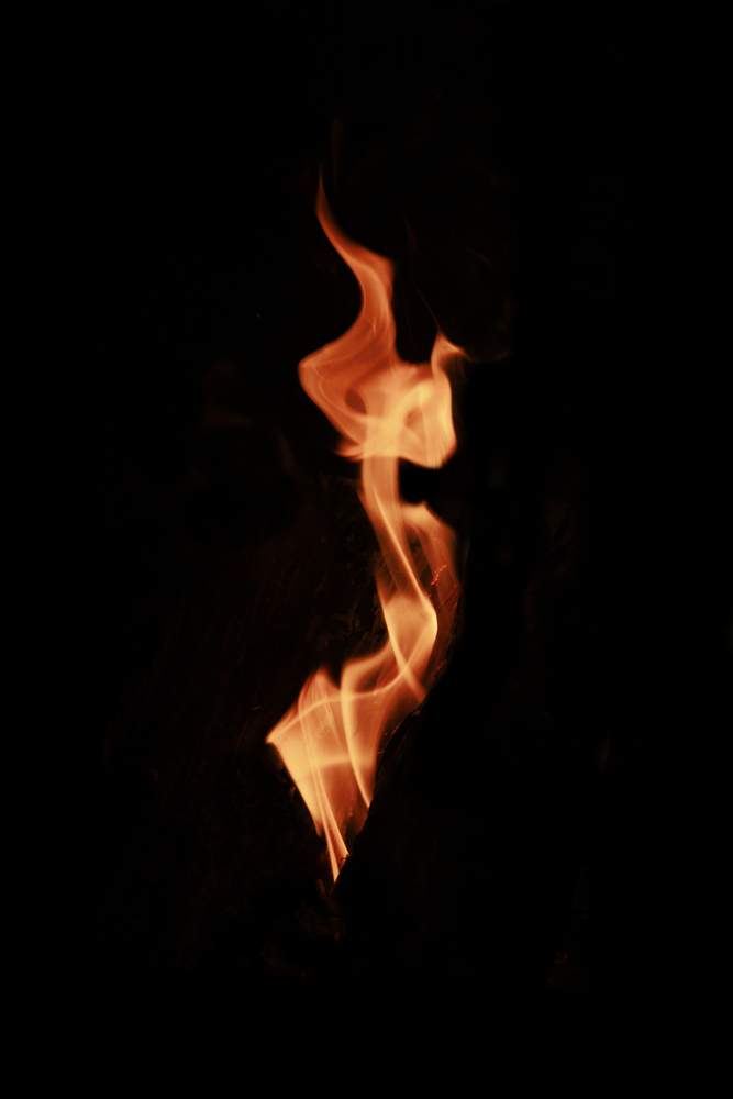 What do you see ? 47