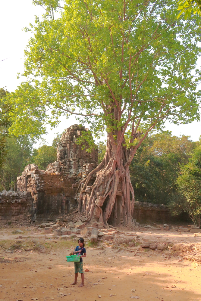 Petite Fille au Panier - Siem Reap - Cambodge