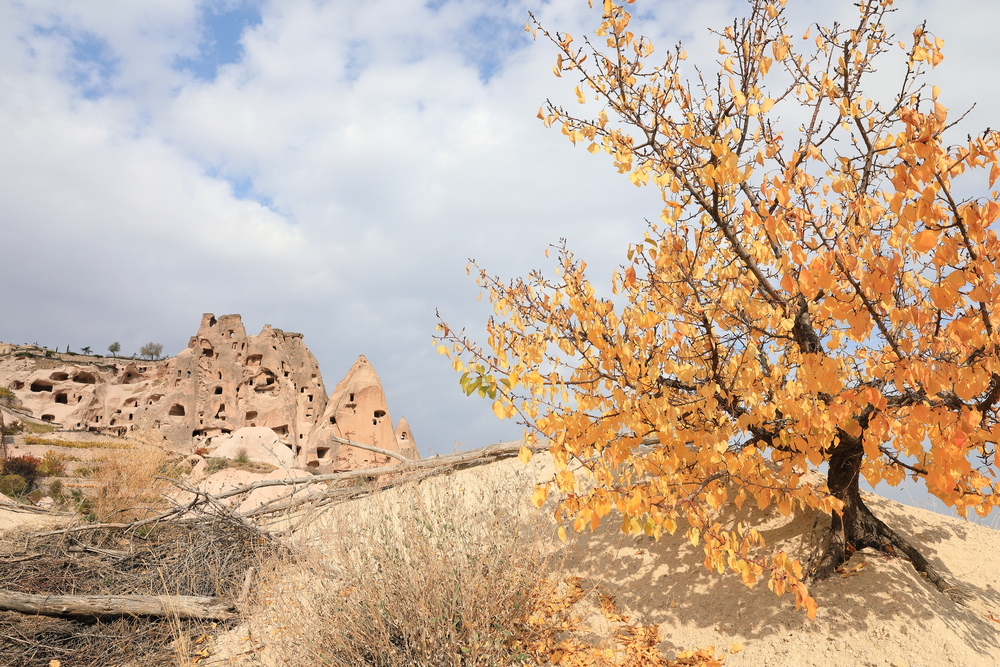 Pigeon Valley 1 - Uçhisar- Cappadoce - Turquie