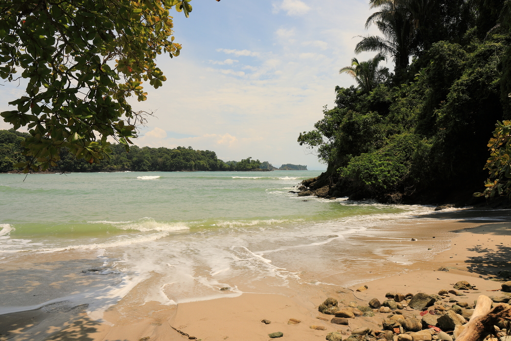Parc national Manuel-Antonio 2 - Costa Rica