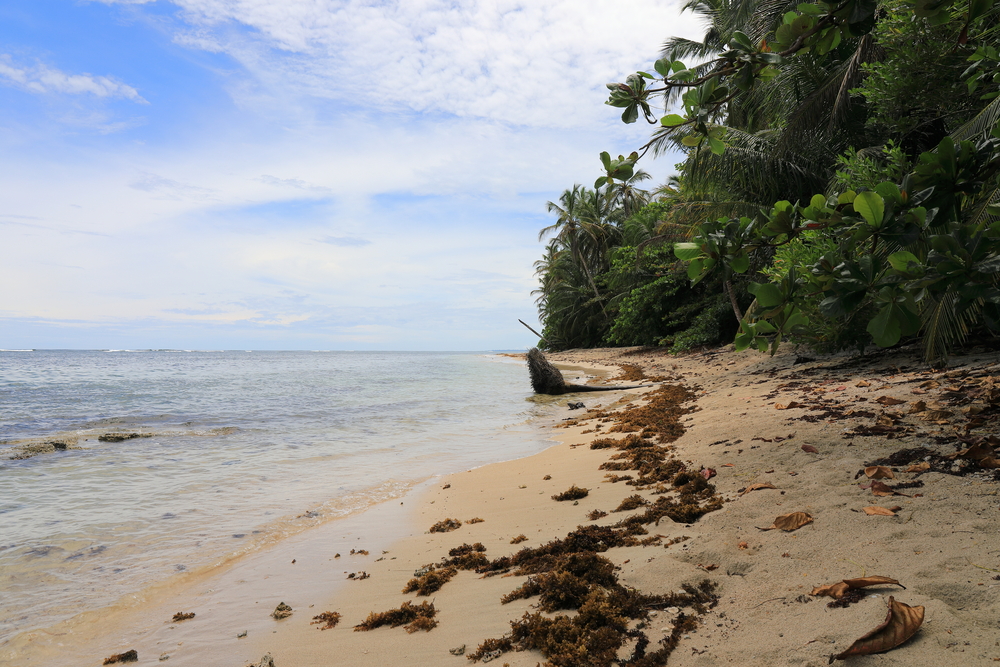 Puerto Vargas National Park 2 - Cahuita - Costa Rica