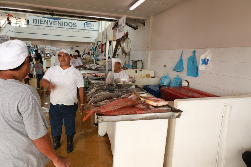Mercado De Marisco Cinta Costera 1 - Panama City - Panama