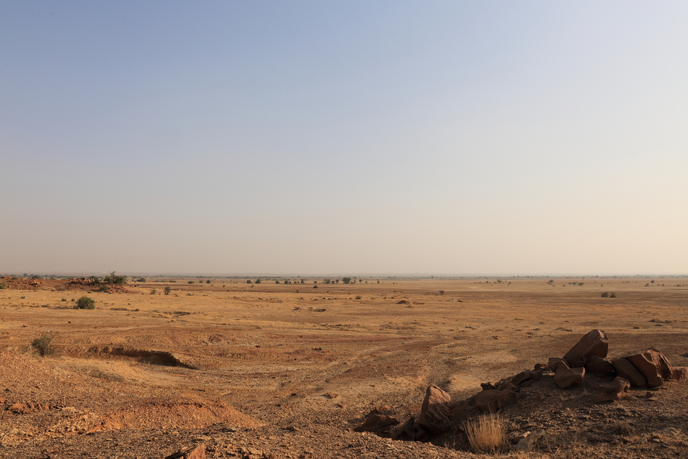 Désert du Thar 1 - Jaisalmer- Rajasthan - Inde