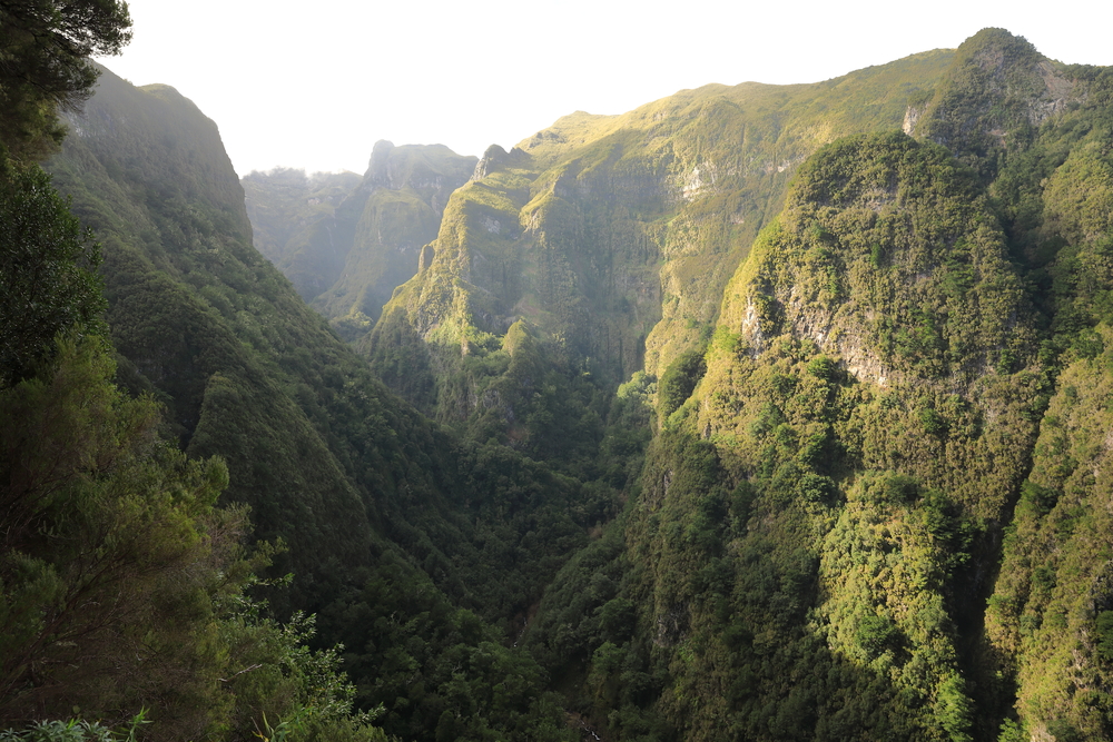 Levada do Caldeirão Verde - Madère