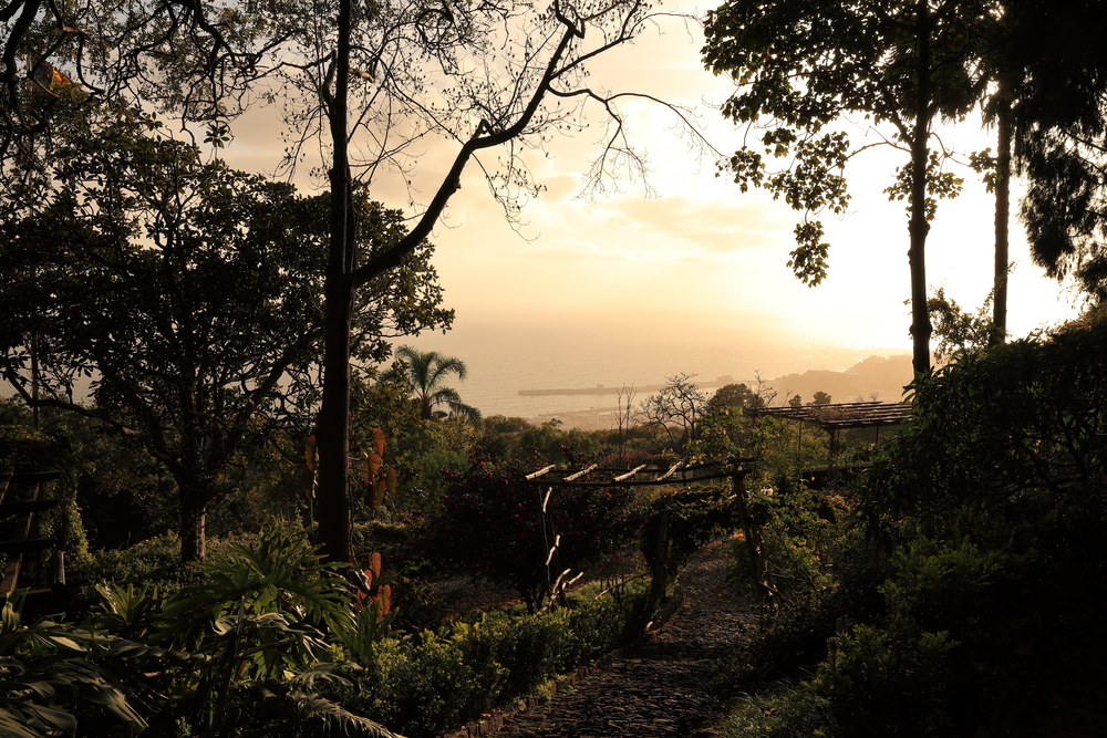 Jardin Botanique de Monte - Funchal - Madère