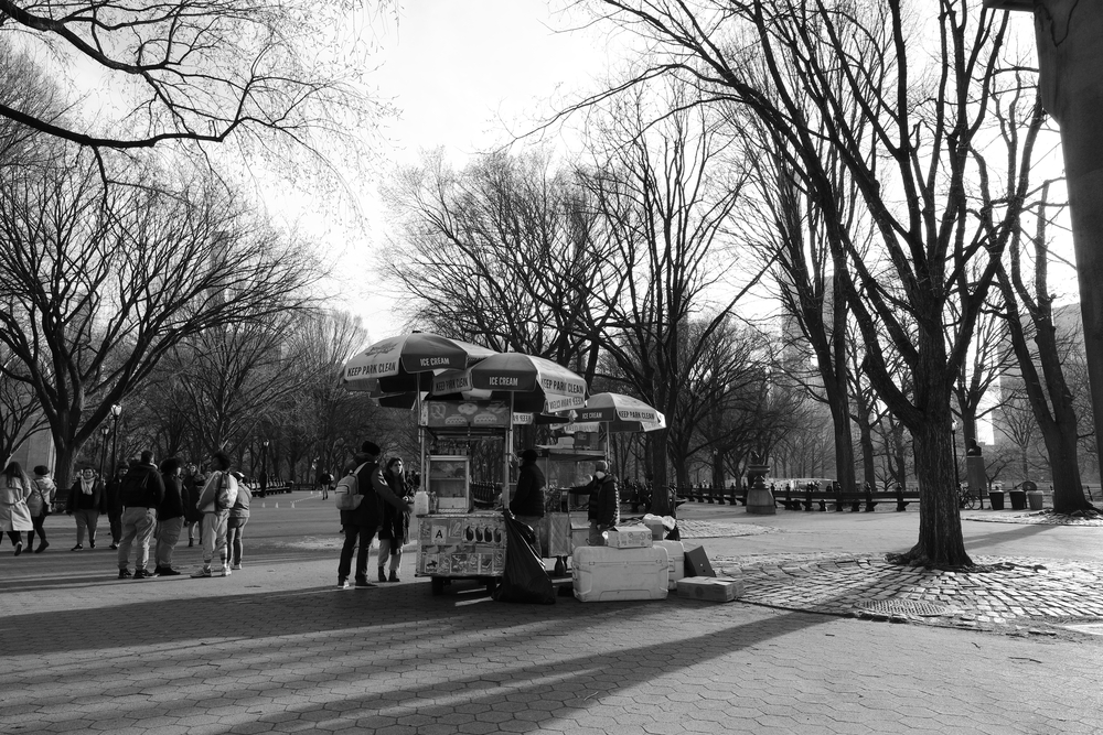 Hot Dog - Central Park - Manhattan - New York