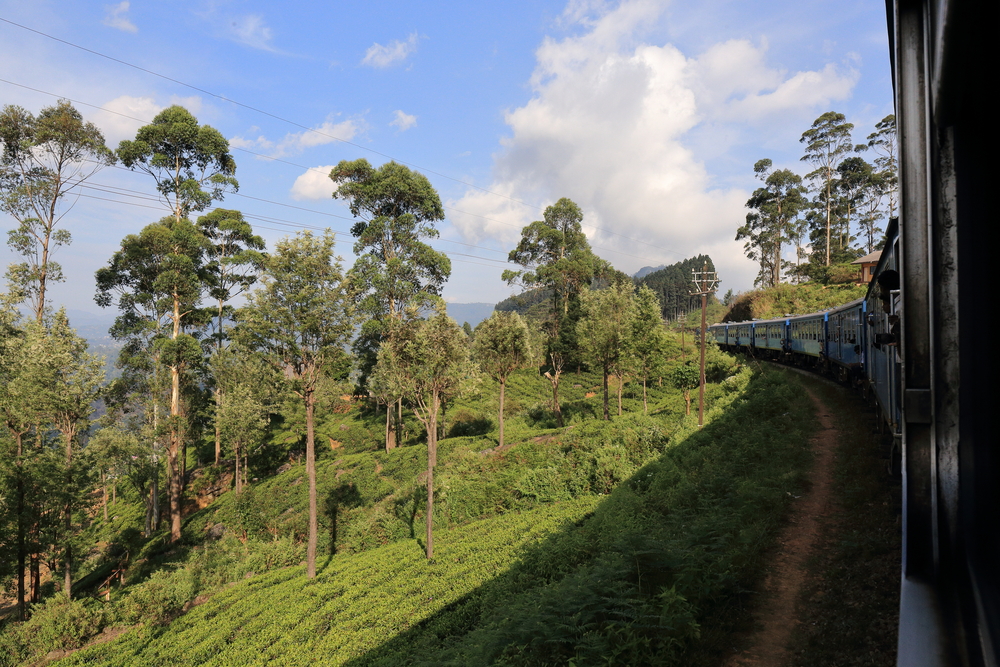 Horton Plains National Park 2 - Sri Lanka