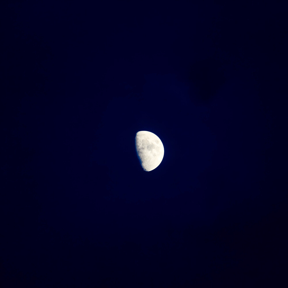 Take me to the Moon