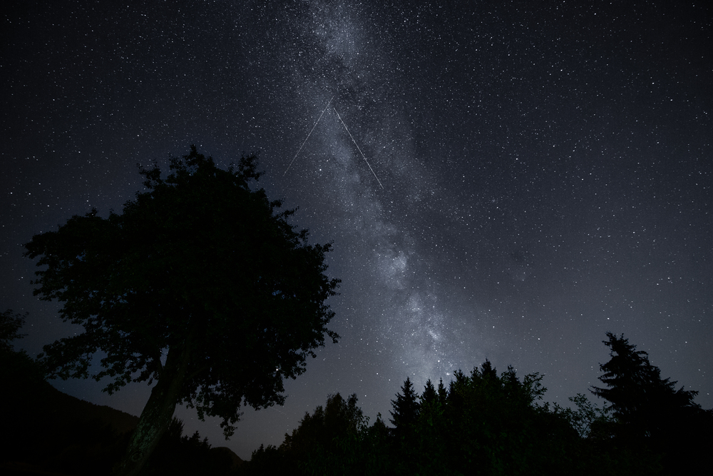 Beauté nocturne