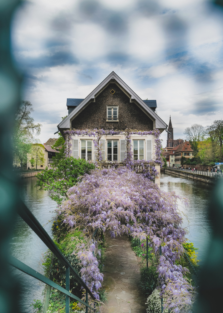 La maison aux glycines