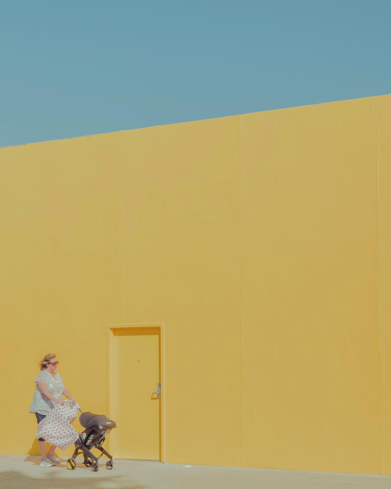 Yellow Melrose