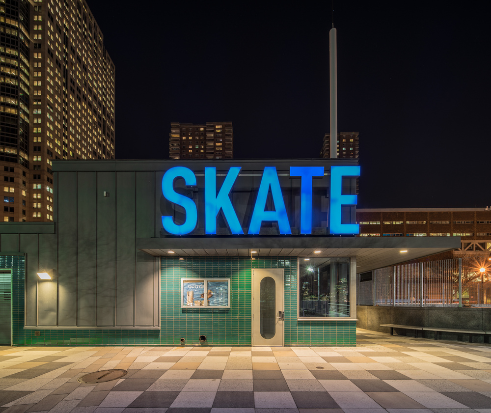 Skate
