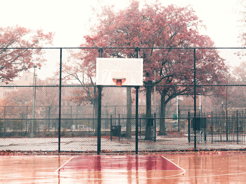 PS 443, Brooklyn, NY
